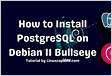 NGINX PostgreSQL Debian 11 Bullseye